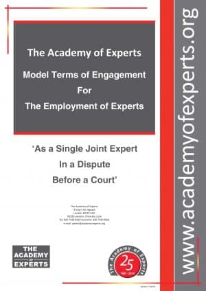 Model Terms of Engagement - SJE