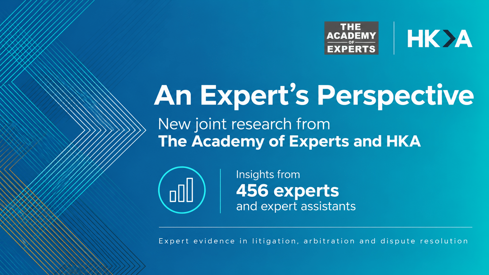 An Expert's Perspective